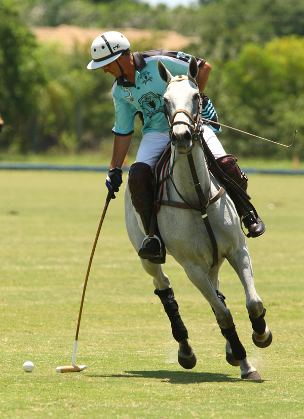 USPA Sun Cup-photos by Alex Pacheco Palm House vs. Longfield
