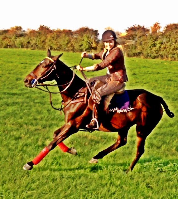 Teaching Miss England to Ride-school  a polo pony