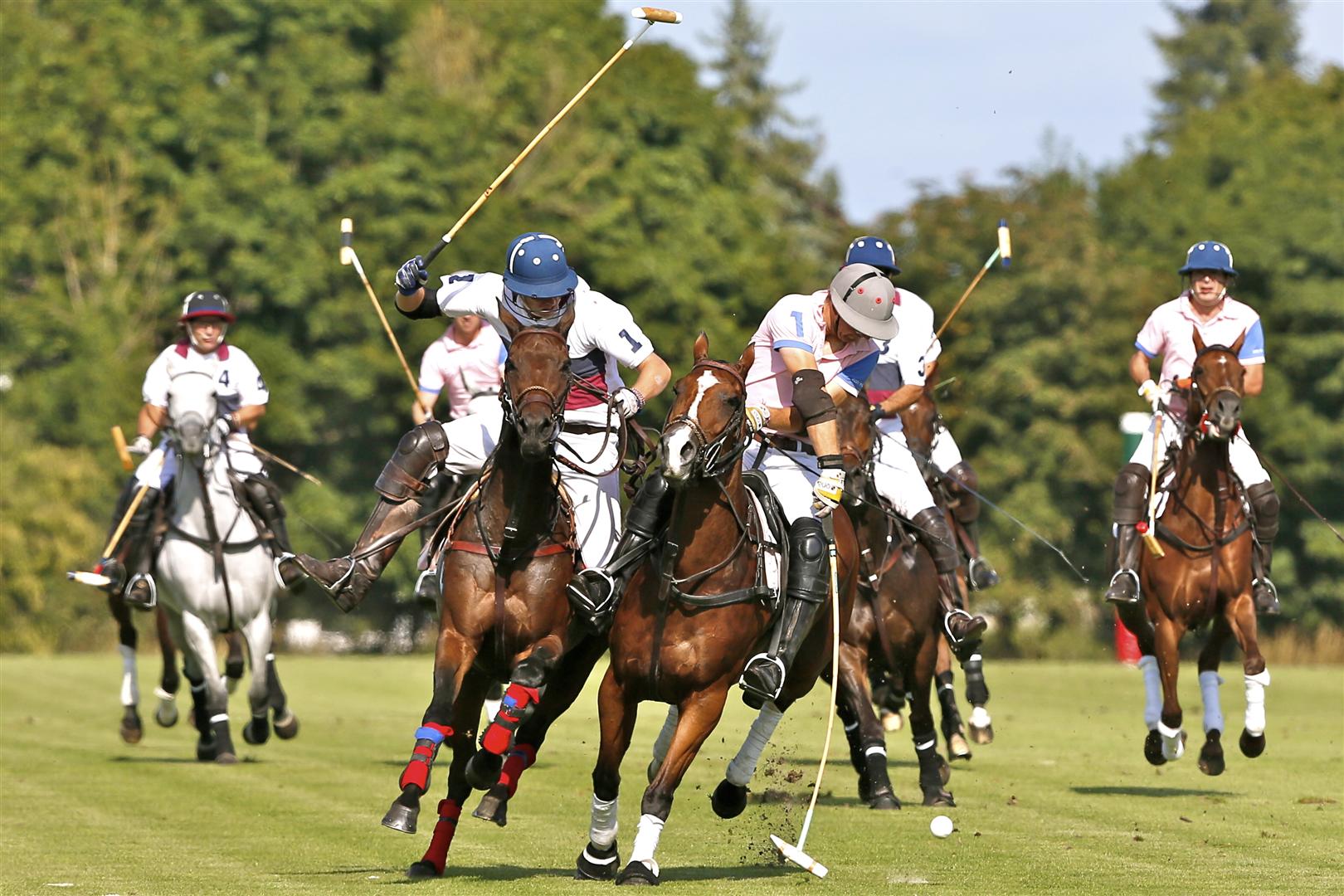 French Polo Open 2012 3