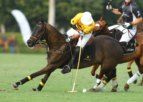 Photos-Faraway vs Lucchese polo team ipc polo club 7