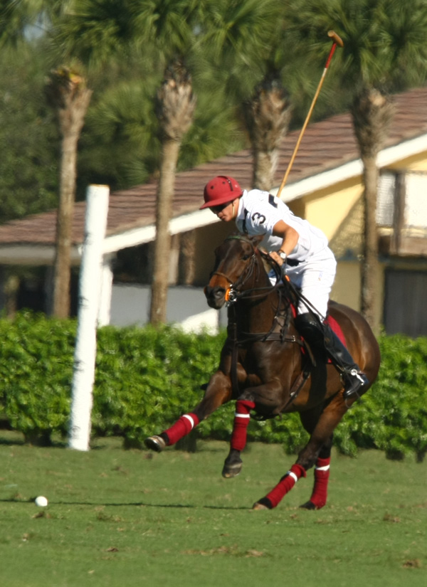 gossecreekpoloteamhawkhillpoloteampolomagazinepachecophotosgcpoloclub 9