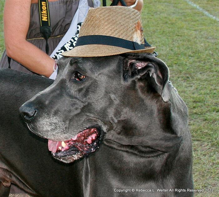 POLO Magazine Rebecca Welter 1-IMG 0890