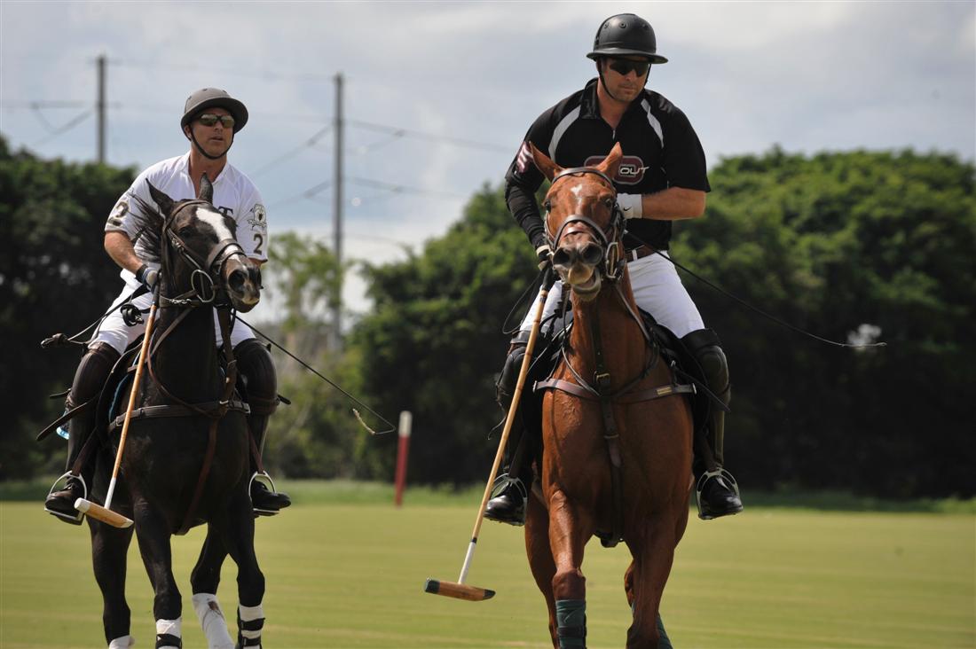 piaget vs flat out grand champion polo