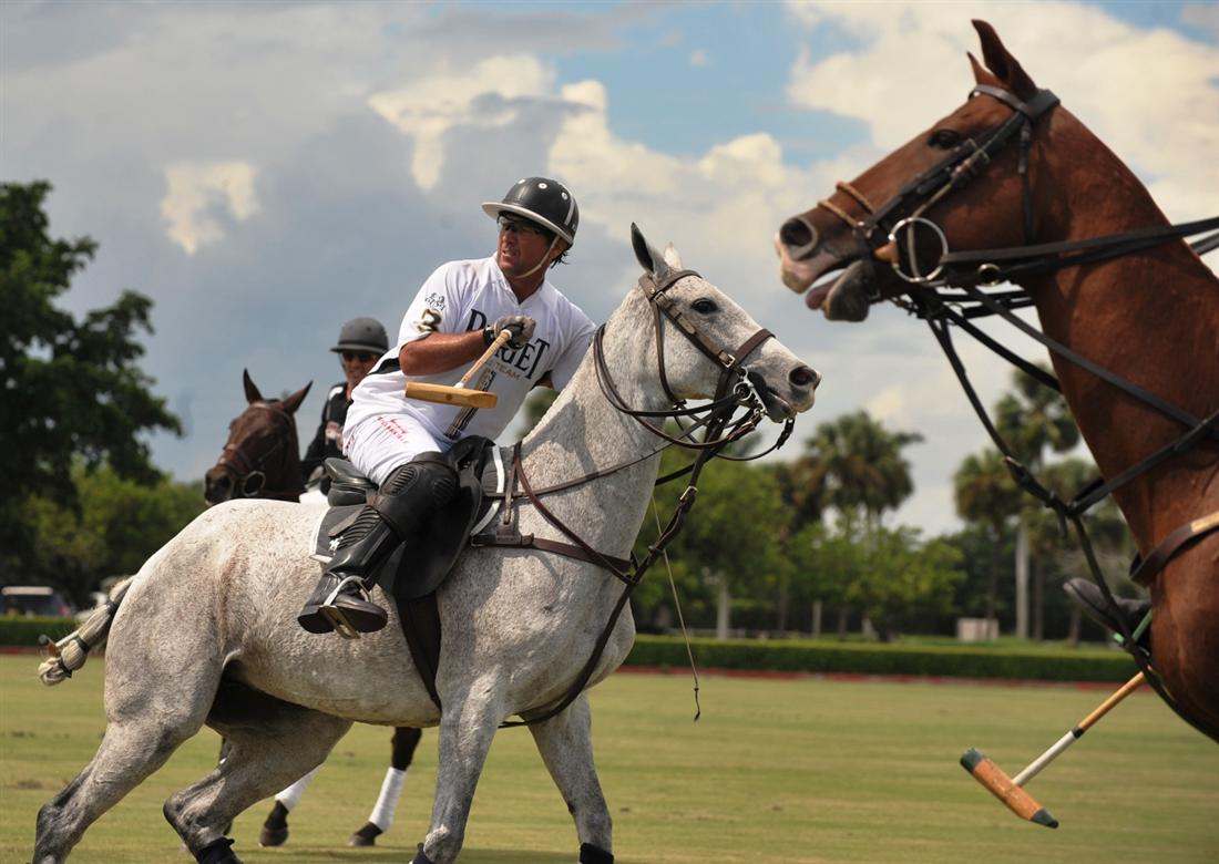 DSC 3378aa Ami De La Mer POLO Magazine