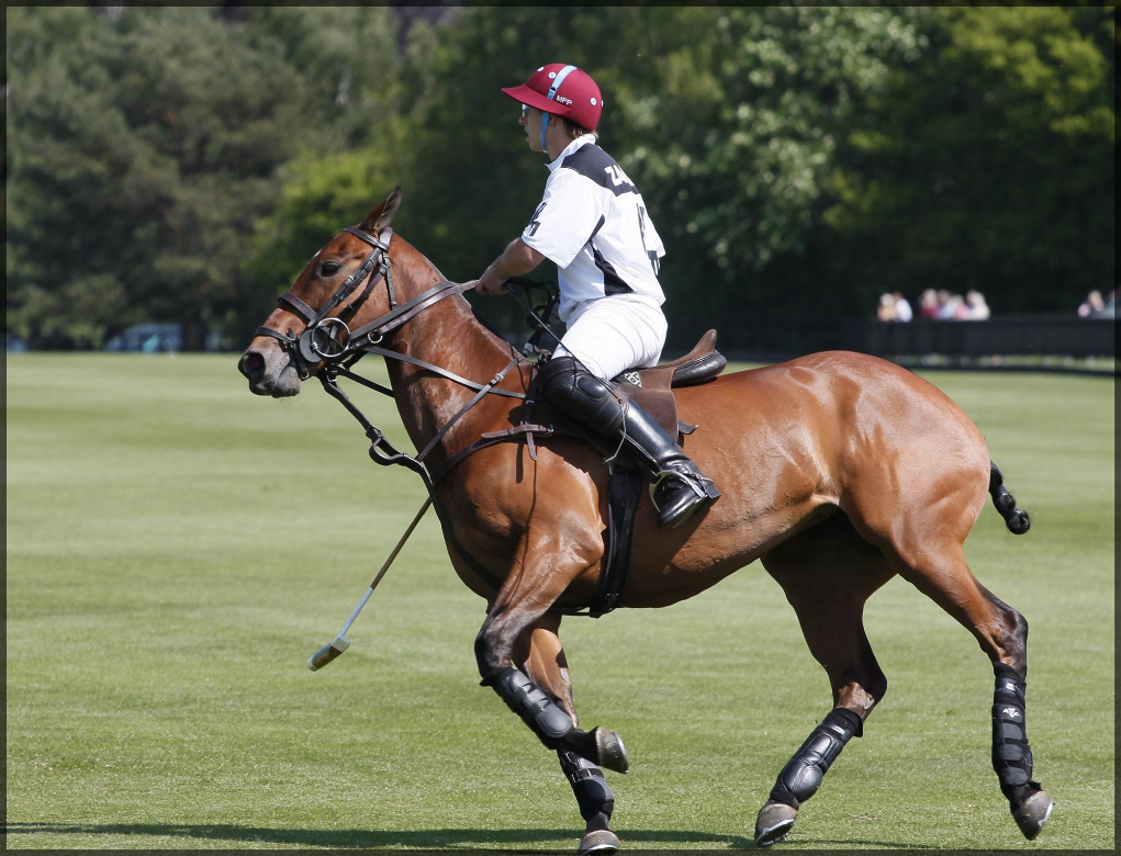 Guards Polo Club Queens Cup Polo Tournament 2013 POLO Magazine 7