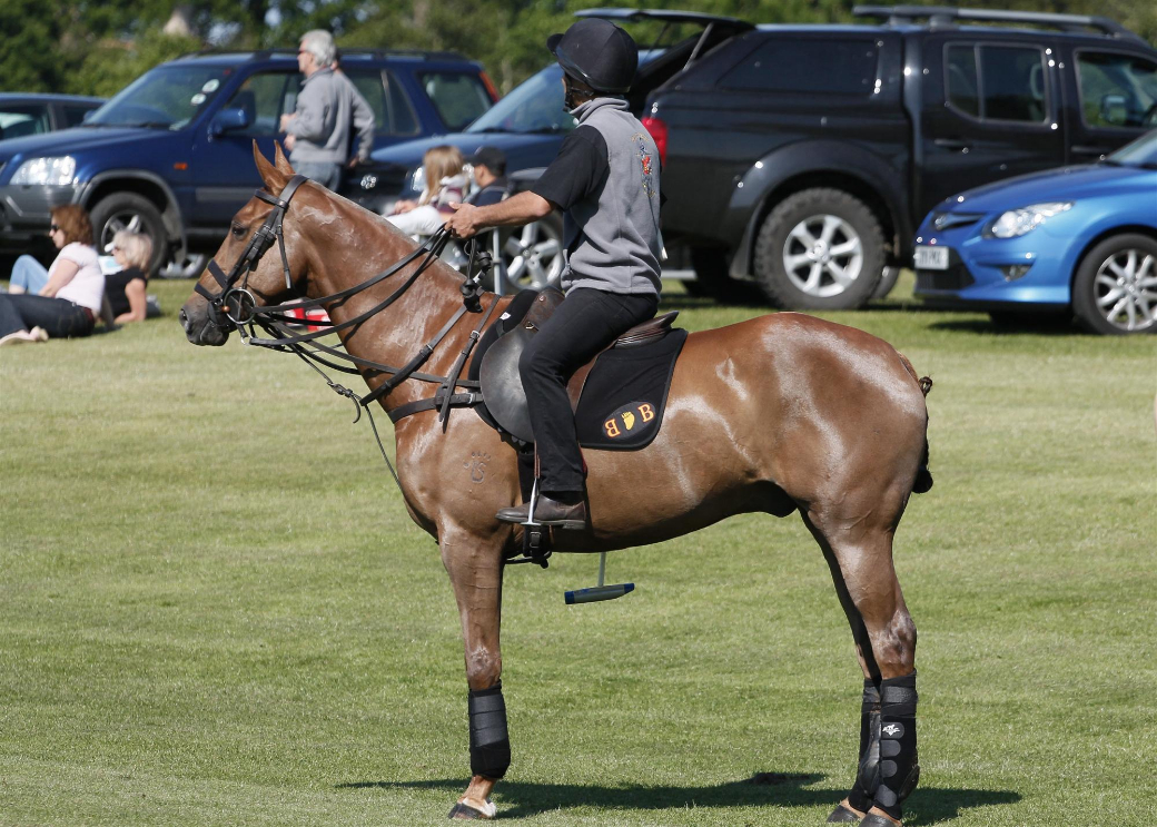black bears polo team queens cup polo tournament polo magazine polo photos celine genonceau 2013 14
