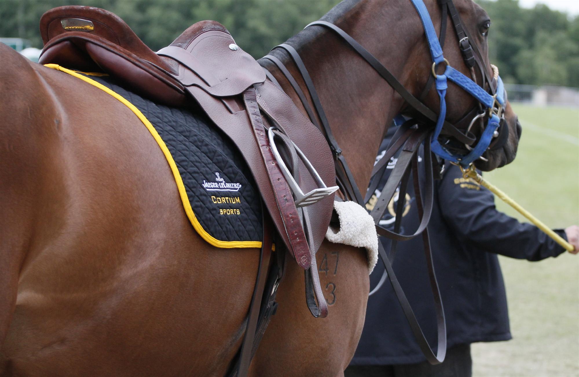 cortium polo team queens cup polo magazine celine genonceau polo club photos tournament 17