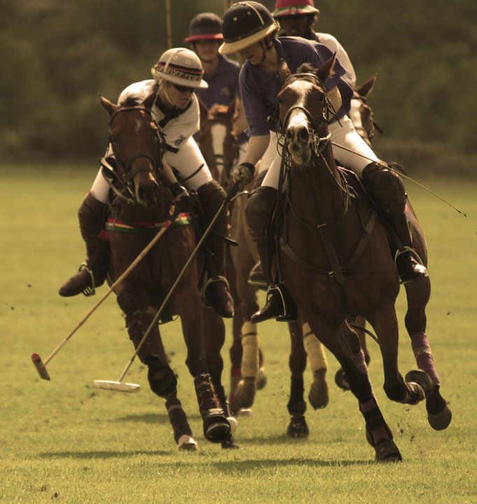 Nairobi Polo Club