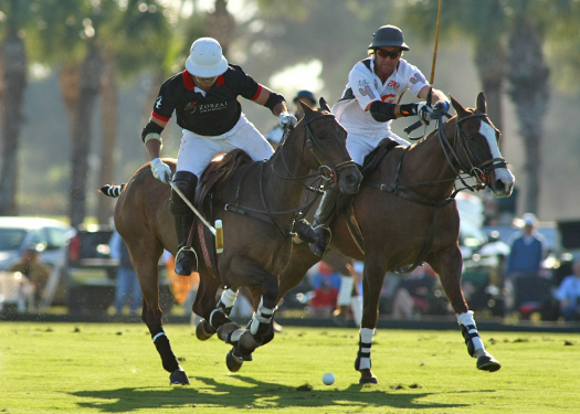 zorzal poloteam erg polo team us  open polo championships polo magazine alex pacheco 1