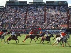 Polo: The 2022 Argentine Open Championship